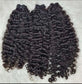 Raw Burmese Curly