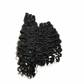 Raw Burmese Curly